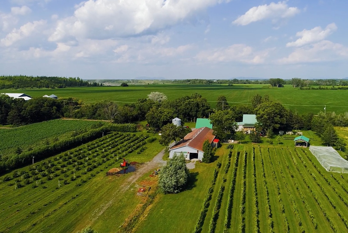 Vue aérienne de la Ferme Au Fil du Vent. Ses champs, son vignoble, sa noiseraie, ses bâtiments.
