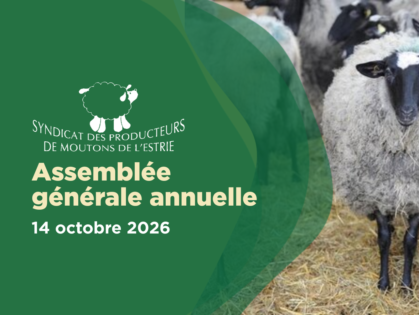 Assemblée générale 2026 des producteurs de moutons de l’Estrie