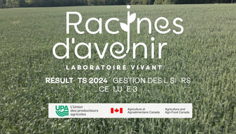 Gestion des lisiers (cellule 3)