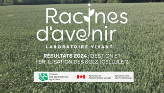 Gestion et fertilisation des sols (cellule 1)