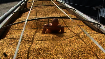 Simulation ensevelissement silo à grains
