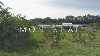 Bienvenue à Montréal!